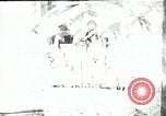 Standbild fleischfressende Cobra Lilien Toledo Ohio USA, 1930, aus Sekunde 11 historischem Filmmaterial Videoclip 65675035101