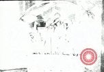 Standbild fleischfressende Cobra Lilien Toledo Ohio USA, 1930, aus Sekunde 13 historischem Filmmaterial Videoclip 65675035101