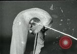 Standbild fleischfressende Cobra Lilien Toledo Ohio USA, 1930, aus Sekunde 19 historischem Filmmaterial Videoclip 65675035101
