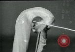 Standbild fleischfressende Cobra Lilien Toledo Ohio USA, 1930, aus Sekunde 20 historischem Filmmaterial Videoclip 65675035101