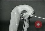 Standbild fleischfressende Cobra Lilien Toledo Ohio USA, 1930, aus Sekunde 21 historischem Filmmaterial Videoclip 65675035101