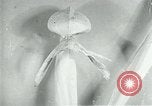 Standbild fleischfressende Cobra Lilien Toledo Ohio USA, 1930, aus Sekunde 42 historischem Filmmaterial Videoclip 65675035101