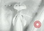 Standbild fleischfressende Cobra Lilien Toledo Ohio USA, 1930, aus Sekunde 47 historischem Filmmaterial Videoclip 65675035101
