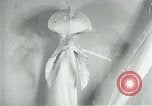 Standbild fleischfressende Cobra Lilien Toledo Ohio USA, 1930, aus Sekunde 48 historischem Filmmaterial Videoclip 65675035101