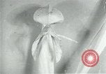 Standbild fleischfressende Cobra Lilien Toledo Ohio USA, 1930, aus Sekunde 49 historischem Filmmaterial Videoclip 65675035101