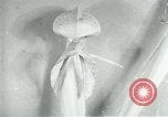 Standbild fleischfressende Cobra Lilien Toledo Ohio USA, 1930, aus Sekunde 50 historischem Filmmaterial Videoclip 65675035101