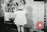 Standbild fleischfressende Cobra Lilien Toledo Ohio USA, 1930, aus Sekunde 52 historischem Filmmaterial Videoclip 65675035101