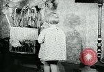 Standbild fleischfressende Cobra Lilien Toledo Ohio USA, 1930, aus Sekunde 53 historischem Filmmaterial Videoclip 65675035101