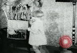 Standbild fleischfressende Cobra Lilien Toledo Ohio USA, 1930, aus Sekunde 57 historischem Filmmaterial Videoclip 65675035101