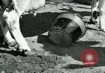 Immagine di Donne americane Pomona California USA, 1931, secondo 24 filmato di repertorio 65675035119