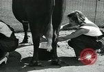 Immagine di Donne americane Pomona California USA, 1931, secondo 26 filmato di repertorio 65675035119