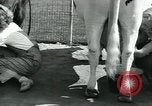 Immagine di Donne americane Pomona California USA, 1931, secondo 33 filmato di repertorio 65675035119