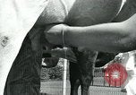 Immagine di Donne americane Pomona California USA, 1931, secondo 38 filmato di repertorio 65675035119