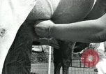 Immagine di Donne americane Pomona California USA, 1931, secondo 39 filmato di repertorio 65675035119