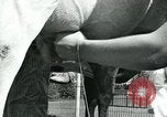 Immagine di Donne americane Pomona California USA, 1931, secondo 40 filmato di repertorio 65675035119