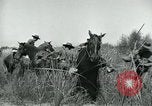 Standbild Border Patrol El Paso Texas USA, 1931, aus Sekunde 25 historischem Filmmaterial Videoclip 65675035122