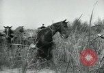 Standbild Border Patrol El Paso Texas USA, 1931, aus Sekunde 26 historischem Filmmaterial Videoclip 65675035122