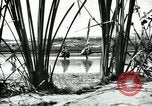 Standbild Border Patrol El Paso Texas USA, 1931, aus Sekunde 56 historischem Filmmaterial Videoclip 65675035122