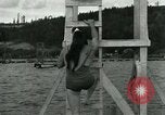 Image of dog athlete Seattle Washington USA, 1931, second 20 stock footage video 65675035128