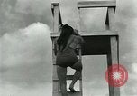 Image of dog athlete Seattle Washington USA, 1931, second 29 stock footage video 65675035128