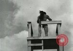Image of dog athlete Seattle Washington USA, 1931, second 38 stock footage video 65675035128