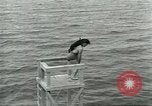 Image of dog athlete Seattle Washington USA, 1931, second 40 stock footage video 65675035128