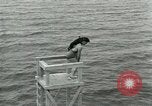 Image of dog athlete Seattle Washington USA, 1931, second 41 stock footage video 65675035128