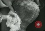 Image of barbers Frankfurt Germany, 1931, second 30 stock footage video 65675035129