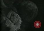 Image of barbers Frankfurt Germany, 1931, second 32 stock footage video 65675035129