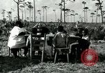 Image Sennie Burk Delray Beach Florida USA, 1931, de la seconde 29 séquences d'archives historiques vidéo 65675035130