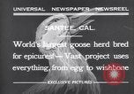 Standbild Gans Herde Santee California USA, 1932, aus Sekunde 3 historischem Filmmaterial Videoclip 65675035145