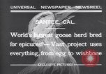 Standbild Gans Herde Santee California USA, 1932, aus Sekunde 4 historischem Filmmaterial Videoclip 65675035145
