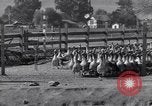 Standbild Gans Herde Santee California USA, 1932, aus Sekunde 18 historischem Filmmaterial Videoclip 65675035145