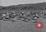 Standbild Gans Herde Santee California USA, 1932, aus Sekunde 36 historischem Filmmaterial Videoclip 65675035145
