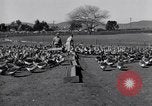 Standbild Gans Herde Santee California USA, 1932, aus Sekunde 48 historischem Filmmaterial Videoclip 65675035145