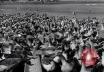 Standbild Gans Herde Santee California USA, 1932, aus Sekunde 55 historischem Filmmaterial Videoclip 65675035145