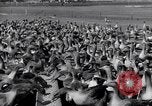 Standbild Gans Herde Santee California USA, 1932, aus Sekunde 56 historischem Filmmaterial Videoclip 65675035145