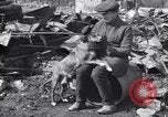 Immagine di Relitto a causa di incendio Penns Grove New Jersey USA, 1932, secondo 49 filmato di repertorio 65675035147