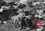Immagine di Relitto a causa di incendio Penns Grove New Jersey USA, 1932, secondo 54 filmato di repertorio 65675035147