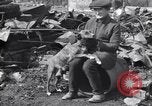 Immagine di Relitto a causa di incendio Penns Grove New Jersey USA, 1932, secondo 55 filmato di repertorio 65675035147