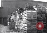 Standbild Glasbausteine Columbus Ohio USA, 1932, aus Sekunde 13 historischem Filmmaterial Videoclip 65675035160