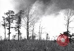 Image feu de forêt Cochran Oregon USA, 1932, de la seconde 11 séquences d'archives historiques vidéo 65675035161
