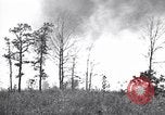 Image feu de forêt Cochran Oregon USA, 1932, de la seconde 12 séquences d'archives historiques vidéo 65675035161