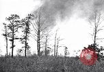Image feu de forêt Cochran Oregon USA, 1932, de la seconde 13 séquences d'archives historiques vidéo 65675035161