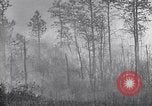 Image feu de forêt Cochran Oregon USA, 1932, de la seconde 15 séquences d'archives historiques vidéo 65675035161