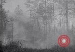 Image feu de forêt Cochran Oregon USA, 1932, de la seconde 18 séquences d'archives historiques vidéo 65675035161