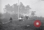 Image feu de forêt Cochran Oregon USA, 1932, de la seconde 21 séquences d'archives historiques vidéo 65675035161