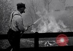 Image feu de forêt Cochran Oregon USA, 1932, de la seconde 28 séquences d'archives historiques vidéo 65675035161