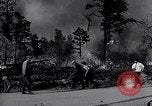 Image feu de forêt Cochran Oregon USA, 1932, de la seconde 30 séquences d'archives historiques vidéo 65675035161