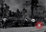 Image feu de forêt Cochran Oregon USA, 1932, de la seconde 31 séquences d'archives historiques vidéo 65675035161
